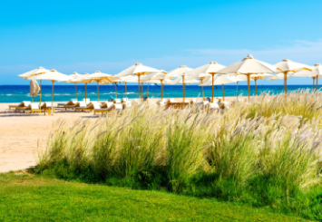 ZYA REGINA RESORT & AQUA PARK 4 * - Hurgada - Hurgada, Egiptas