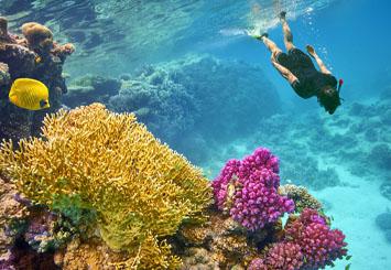 BARCELO TIRAN SHARM 4 * - Šarm Aš Šeichas - Šarm Aš Šeichas, Egiptas